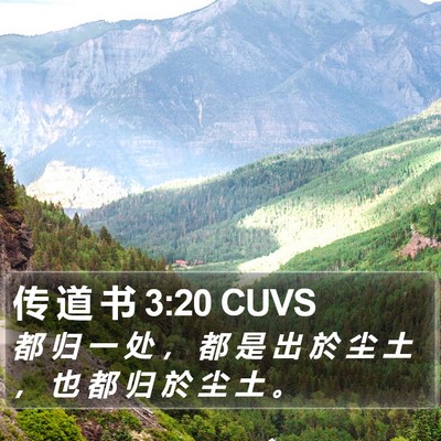 传 道 书 3:20 CUVS Bible Verse Image