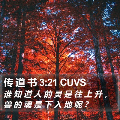 传 道 书 3:21 CUVS Bible Verse Image