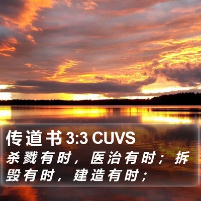 传 道 书 3:3 CUVS Bible Verse Image