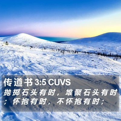 传 道 书 3:5 CUVS Bible Verse Image