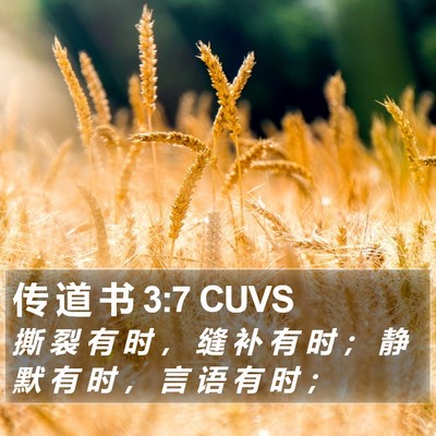 传 道 书 3:7 CUVS Bible Verse Image