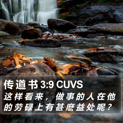 传 道 书 3:9 CUVS Bible Verse Image