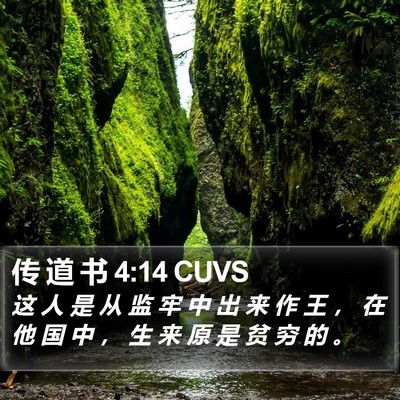 传 道 书 4:14 CUVS Bible Verse Image