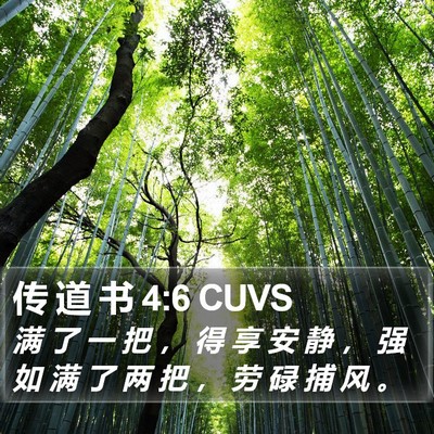 传 道 书 4:6 CUVS Bible Verse Image