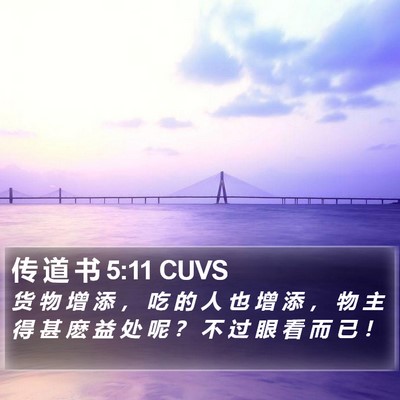 传 道 书 5:11 CUVS Bible Verse Image