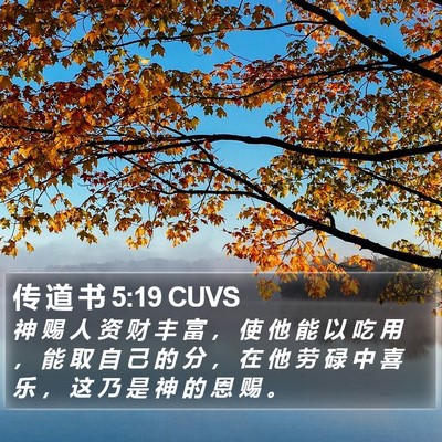 传 道 书 5:19 CUVS Bible Verse Image