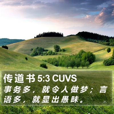 传 道 书 5:3 CUVS Bible Verse Image