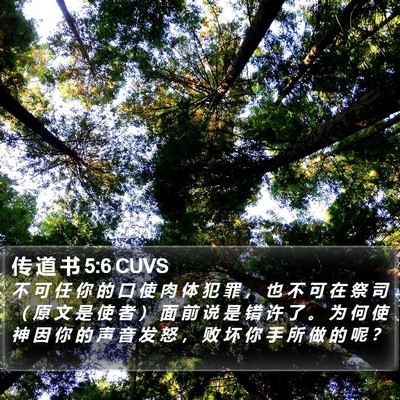 传 道 书 5:6 CUVS Bible Verse Image