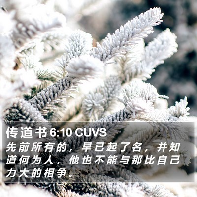 传 道 书 6:10 CUVS Bible Verse Image