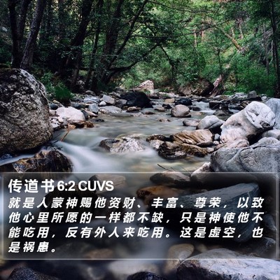 传 道 书 6:2 CUVS Bible Verse Image