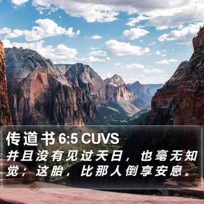 传 道 书 6:5 CUVS Bible Verse Image