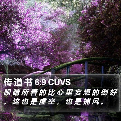 传 道 书 6:9 CUVS Bible Verse Image