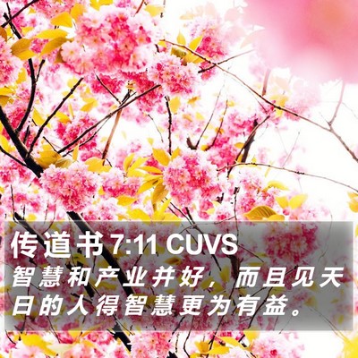 传 道 书 7:11 CUVS Bible Verse Image