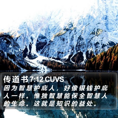 传 道 书 7:12 CUVS Bible Verse Image