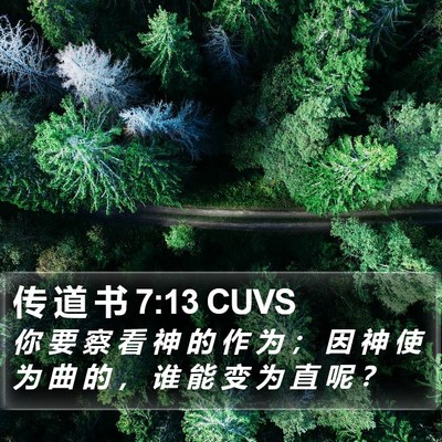 传 道 书 7:13 CUVS Bible Verse Image