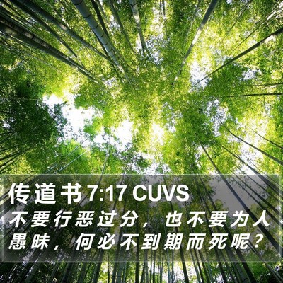 传 道 书 7:17 CUVS Bible Verse Image