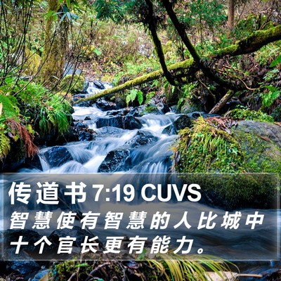 传 道 书 7:19 CUVS Bible Verse Image