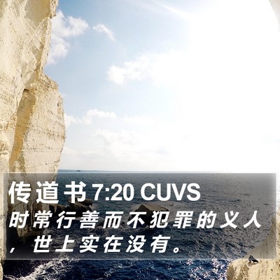 传 道 书 7:20 CUVS Bible Verse Image