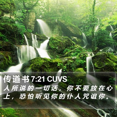 传 道 书 7:21 CUVS Bible Verse Image