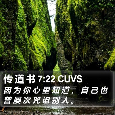 传 道 书 7:22 CUVS Bible Verse Image