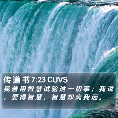 传 道 书 7:23 CUVS Bible Verse Image