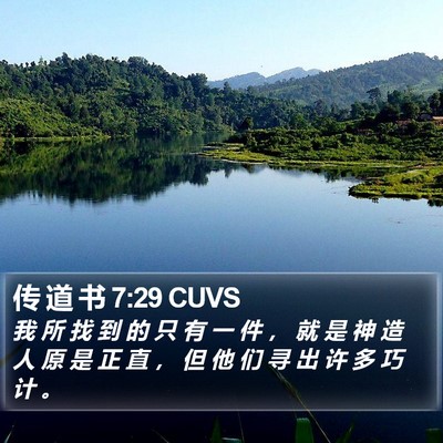 传 道 书 7:29 CUVS Bible Verse Image
