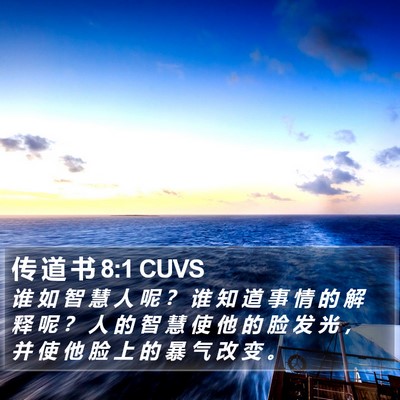 传 道 书 8:1 CUVS Bible Verse Image