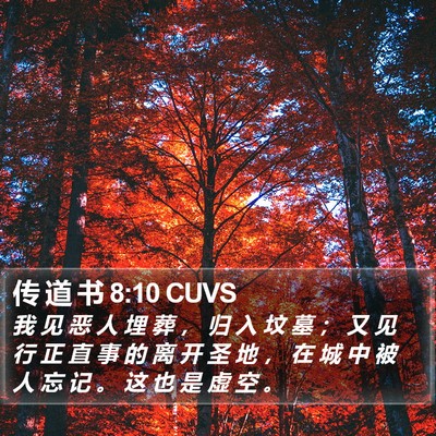 传 道 书 8:10 CUVS Bible Verse Image