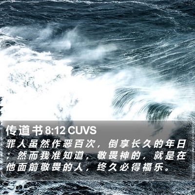 传 道 书 8:12 CUVS Bible Verse Image