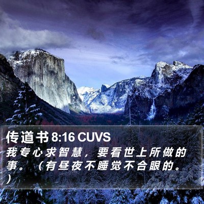 传 道 书 8:16 CUVS Bible Verse Image
