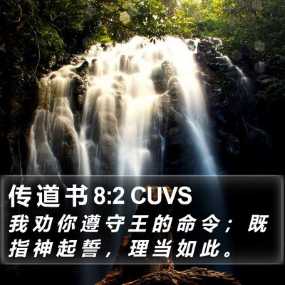 传 道 书 8:2 CUVS Bible Verse Image