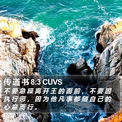 传 道 书 8:3 CUVS Bible Verse Image