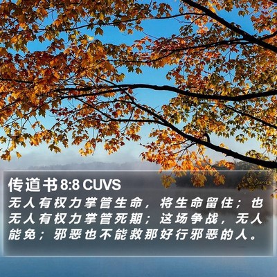 传 道 书 8:8 CUVS Bible Verse Image