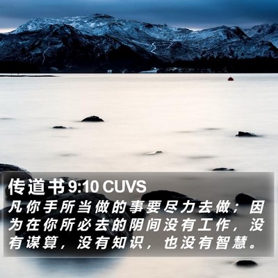传 道 书 9:10 CUVS Bible Verse Image