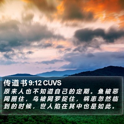 传 道 书 9:12 CUVS Bible Verse Image