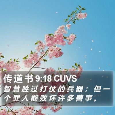 传 道 书 9:18 CUVS Bible Verse Image