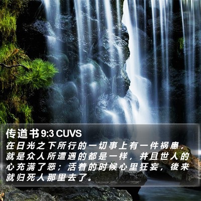 传 道 书 9:3 CUVS Bible Verse Image