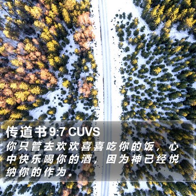 传 道 书 9:7 CUVS Bible Verse Image