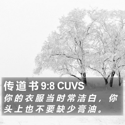 传 道 书 9:8 CUVS Bible Verse Image