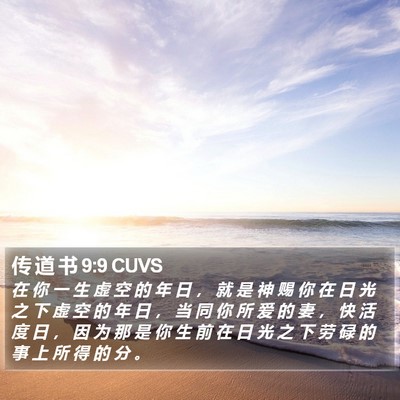 传 道 书 9:9 CUVS Bible Verse Image