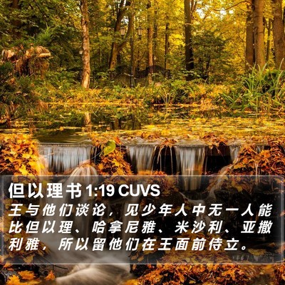 但 以 理 书 1:19 CUVS Bible Verse Image