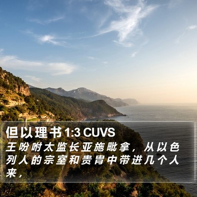 但 以 理 书 1:3 CUVS Bible Verse Image