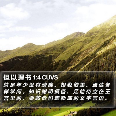 但 以 理 书 1:4 CUVS Bible Verse Image