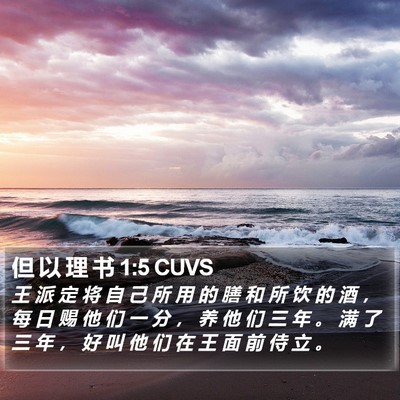 但 以 理 书 1:5 CUVS Bible Verse Image