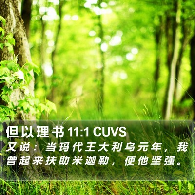 但 以 理 书 11:1 CUVS Bible Verse Image
