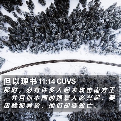 但 以 理 书 11:14 CUVS Bible Verse Image