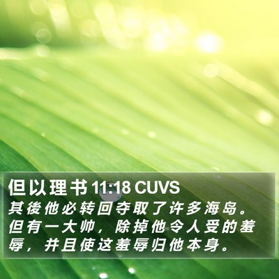 但 以 理 书 11:18 CUVS Bible Verse Image