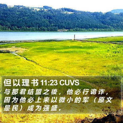 但 以 理 书 11:23 CUVS Bible Verse Image