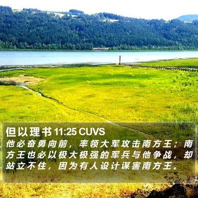 但 以 理 书 11:25 CUVS Bible Verse Image