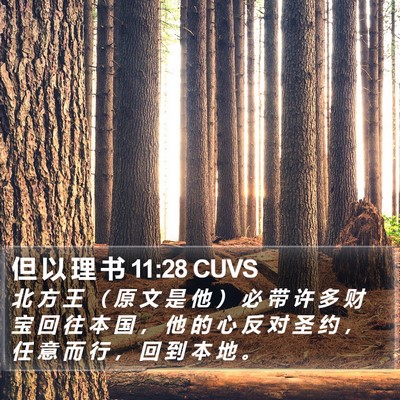 但 以 理 书 11:28 CUVS Bible Verse Image
